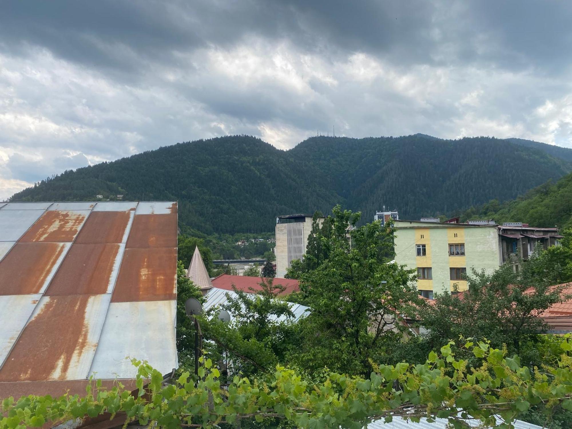 Hillside Guesthouse Боржомі Екстер'єр фото