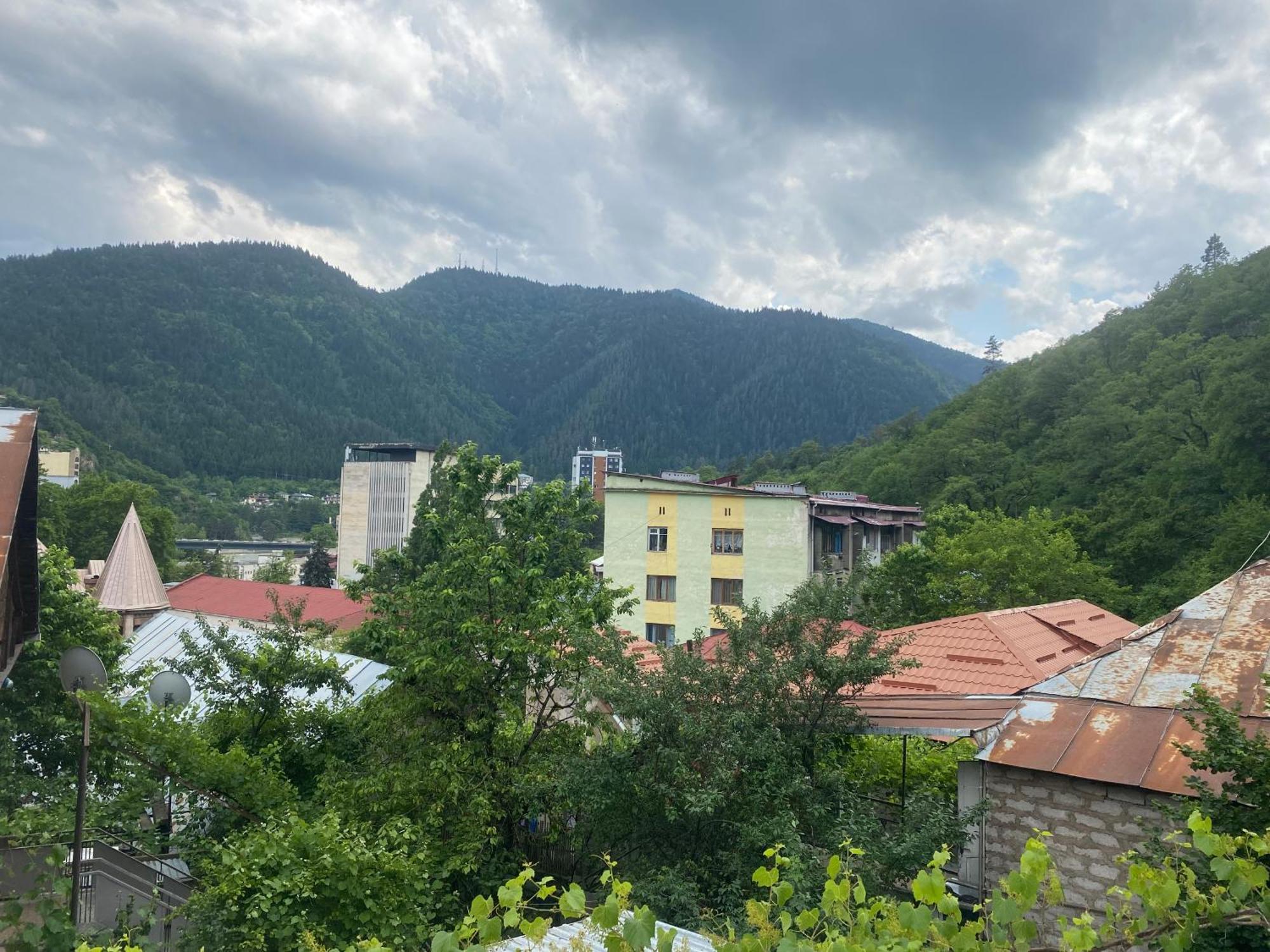 Hillside Guesthouse Боржомі Екстер'єр фото